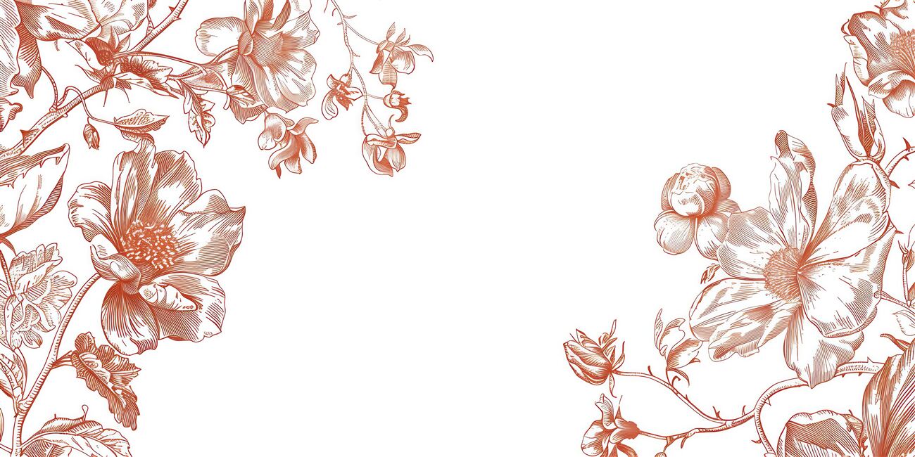 Last Product image