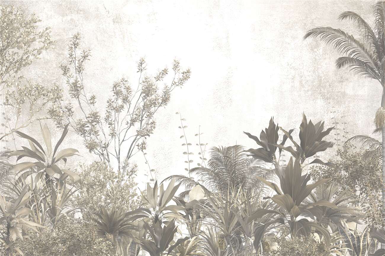 Last Product image